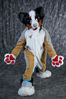Filename=21-11-20-19-44-DSC_9285.jpg
Filesize=5244KiB
Dimensions=4770x7148
Date added=Dec 05, 2021 21-11-20-19-44-DSC_9285.jpg
