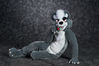 Filename=19-01-188-33_PMDSC_6909.jpg
Filesize=3536KiB
Dimensions=6278x4190
Date added=Feb 04, 2019 19-01-188-33_PMDSC_6909.jpg