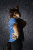 Filename=19-01-188-37_PMDSC_6914.jpg
Filesize=4360KiB
Dimensions=4912x7360
Date added=Feb 04, 2019 19-01-188-37_PMDSC_6914.jpg