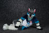 Filename=19-01-1911-15_PMDSC_7107.jpg
Filesize=4074KiB
Dimensions=7360x4912
Date added=Feb 04, 2019 19-01-1911-15_PMDSC_7107.jpg