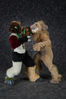 Filename=19-01-1911-44_PMDSC_7128.jpg
Filesize=3229KiB
Dimensions=4912x7360
Date added=Feb 04, 2019 19-01-1911-44_PMDSC_7128.jpg