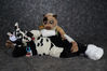 Filename=19-01-194-44_PMDSC_6966.jpg
Filesize=4064KiB
Dimensions=7360x4912
Date added=Feb 04, 2019 19-01-194-44_PMDSC_6966.jpg