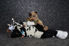 Filename=19-01-194-45_PMDSC_6967.jpg
Filesize=4174KiB
Dimensions=7360x4912
Date added=Feb 04, 2019 19-01-194-45_PMDSC_6967.jpg