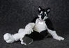 Filename=19-01-2012-02_AMDSC_7145.jpg
Filesize=3537KiB
Dimensions=6904x4912
Date added=Feb 04, 2019 19-01-2012-02_AMDSC_7145.jpg