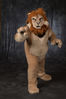 Filename=DSC_0199.jpg
Filesize=6392KiB
Dimensions=5504x8256
Date added=Apr 02, 2018 DSC_0199.jpg