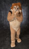 Filename=DSC_0201.jpg
Filesize=7380KiB
Dimensions=4947x8256
Date added=Apr 02, 2018 DSC_0201.jpg
