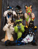 Filename=DSC_0530.jpg
Filesize=5767KiB
Dimensions=4696x6018
Date added=Apr 02, 2018 DSC_0530.jpg