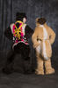 Filename=DSC_0533.jpg
Filesize=6381KiB
Dimensions=5299x7948
Date added=Apr 02, 2018 DSC_0533.jpg