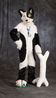 Filename=DSC_0600.jpg
Filesize=4049KiB
Dimensions=3751x6583
Date added=Apr 02, 2018 DSC_0600.jpg