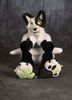 Filename=DSC_0601.jpg
Filesize=5865KiB
Dimensions=5206x7202
Date added=Apr 02, 2018 DSC_0601.jpg