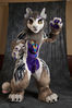 Filename=19-03-154-39_PM_DSC5215.jpg
Filesize=7609KiB
Dimensions=5504x8256
Date added=Apr 01, 2019 19-03-154-39_PM_DSC5215.jpg