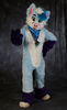 Filename=19-03-172-16_PM_DSC5502.jpg
Filesize=3748KiB
Dimensions=4816x7889
Date added=Apr 01, 2019 19-03-172-16_PM_DSC5502.jpg