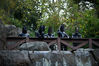 Filename=DSC_6464.jpg
Filesize=6872KiB
Dimensions=7360x4912
Date added=Dec 09, 2018 DSC_6464.jpg