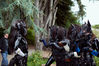 Filename=DSC_6479.jpg
Filesize=5222KiB
Dimensions=7360x4912
Date added=Dec 09, 2018 DSC_6479.jpg