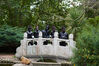 Filename=DSC_6489.jpg
Filesize=9517KiB
Dimensions=7360x4912
Date added=Dec 09, 2018 DSC_6489.jpg
