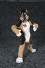 Filename=1599-DSC_4657.jpg
Filesize=2270KiB
Dimensions=4912x7360
Date added=Jul 16, 2014 1599-DSC_4657.jpg