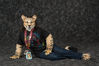 Filename=DSC_0086.jpg
Filesize=4914KiB
Dimensions=6685x4462
Date added=Jul 17, 2016 DSC_0086.jpg