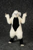 Filename=DSC_9998.jpg
Filesize=5119KiB
Dimensions=4912x7360
Date added=Jul 17, 2016 DSC_9998.jpg