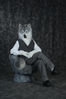 Filename=DSC_3529.jpg
Filesize=4853KiB
Dimensions=4912x7360
Date added=Jul 09, 2017 DSC_3529.jpg