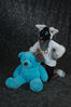 Filename=DSC_4046.jpg
Filesize=5908KiB
Dimensions=4912x7360
Date added=Jul 09, 2017 DSC_4046.jpg