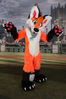 Filename=DSC_5125.jpg
Filesize=5343KiB
Dimensions=4519x6771
Date added=Jul 09, 2017 DSC_5125.jpg