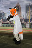 Filename=DSC_5212.jpg
Filesize=5614KiB
Dimensions=4829x7235
Date added=Jul 09, 2017 DSC_5212.jpg