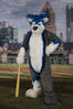 Filename=DSC_5269.jpg
Filesize=5580KiB
Dimensions=4618x6919
Date added=Jul 09, 2017 DSC_5269.jpg