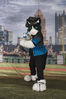 Filename=DSC_5273.jpg
Filesize=6480KiB
Dimensions=4820x7222
Date added=Jul 09, 2017 DSC_5273.jpg