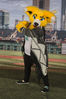 Filename=DSC_5314.jpg
Filesize=6898KiB
Dimensions=4912x7360
Date added=Jul 09, 2017 DSC_5314.jpg