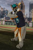 Filename=DSC_5332.jpg
Filesize=6700KiB
Dimensions=4912x7360
Date added=Jul 09, 2017 DSC_5332.jpg