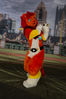 Filename=DSC_5363.jpg
Filesize=5492KiB
Dimensions=4912x7360
Date added=Jul 09, 2017 DSC_5363.jpg