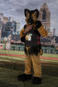 Filename=DSC_5375.jpg
Filesize=6476KiB
Dimensions=4912x7360
Date added=Jul 09, 2017 DSC_5375.jpg
