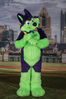 Filename=DSC_5491.jpg
Filesize=5903KiB
Dimensions=4829x7236
Date added=Jul 09, 2017 DSC_5491.jpg