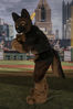 Filename=DSC_5516.jpg
Filesize=5956KiB
Dimensions=4633x6942
Date added=Jul 10, 2017 DSC_5516.jpg
