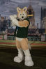 Filename=DSC_5557.jpg
Filesize=5412KiB
Dimensions=4912x7360
Date added=Jul 10, 2017 DSC_5557.jpg