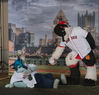 Filename=DSC_5571.jpg
Filesize=3511KiB
Dimensions=4651x4450
Date added=Jul 10, 2017 DSC_5571.jpg