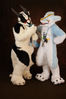 Filename=_DSC4071.jpg
Filesize=4705KiB
Dimensions=5381x8071
Date added=Dec 03, 2018 _DSC4071.jpg