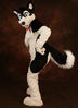 Filename=_DSC4080.jpg
Filesize=2753KiB
Dimensions=4905x6746
Date added=Dec 03, 2018 _DSC4080.jpg