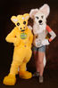 Filename=_DSC4183.jpg
Filesize=4918KiB
Dimensions=4909x7491
Date added=Dec 03, 2018 _DSC4183.jpg
