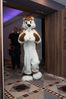 Filename=DSC_0201.jpg
Filesize=2345KiB
Dimensions=4912x7360
Date added=Jun 04, 2013 DSC_0201.jpg