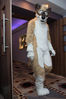 Filename=DSC_0205.jpg
Filesize=2052KiB
Dimensions=4912x7360
Date added=Jun 04, 2013 DSC_0205.jpg