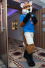Filename=DSC_0217.jpg
Filesize=2375KiB
Dimensions=4912x7360
Date added=Jun 04, 2013 DSC_0217.jpg