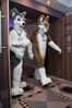 Filename=DSC_0219.jpg
Filesize=2347KiB
Dimensions=4912x7360
Date added=Jun 04, 2013 DSC_0219.jpg