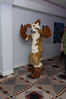 Filename=DSC_0300.jpg
Filesize=2148KiB
Dimensions=4912x7360
Date added=Jun 04, 2013 DSC_0300.jpg