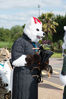 Filename=DSC_0332.jpg
Filesize=2340KiB
Dimensions=4912x7360
Date added=Jun 04, 2013 DSC_0332.jpg