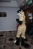 Filename=DSC_0345.jpg
Filesize=1500KiB
Dimensions=4912x7360
Date added=Jun 04, 2013 DSC_0345.jpg