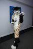 Filename=DSC_0346.jpg
Filesize=1792KiB
Dimensions=4912x7360
Date added=Jun 04, 2013 DSC_0346.jpg