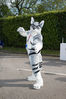 Filename=DSC_0354.jpg
Filesize=3689KiB
Dimensions=4912x7360
Date added=Jun 04, 2013 DSC_0354.jpg