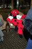 Filename=DSCF2156_1.jpg
Filesize=2125KiB
Dimensions=2848x4256
Date added=Oct 17, 2005 DSCF2156_1.jpg