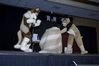 Filename=DSC_4390.jpg
Filesize=2899KiB
Dimensions=4296x2860
Date added=Feb 01, 2006 DSC_4390.jpg